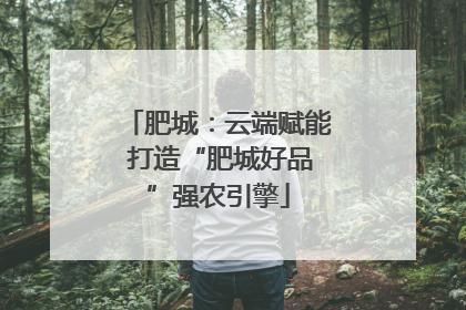 肥城：云端赋能 打造“肥城好品”强农引擎