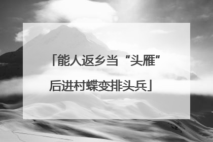 能人返乡当“头雁” 后进村蝶变排头兵
