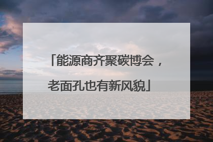能源商齐聚碳博会，老面孔也有新风貌