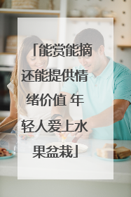 能赏能摘还能提供情绪价值 年轻人爱上水果盆栽