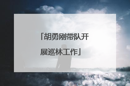 胡勇刚带队开展巡林工作