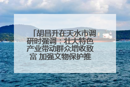 胡昌升在天水市调研时强调：壮大特色产业带动群众增收致富 加强文物保护推动文化创新发展