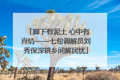 脚下有泥土 心中有真情——七旬调解员刘秀保深耕乡间解民忧