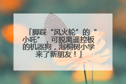 脚踩“风火轮”的“小吒”，可脱离遥控板的机器狗，泡桐树小学来了新朋友！