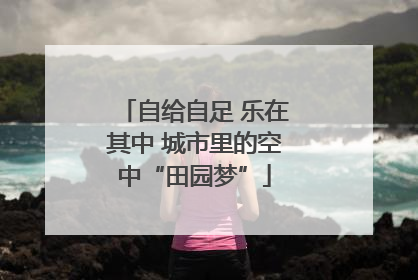 自给自足 乐在其中 城市里的空中“田园梦”