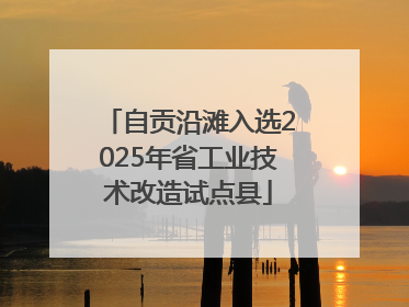 自贡沿滩入选2025年省工业技术改造试点县