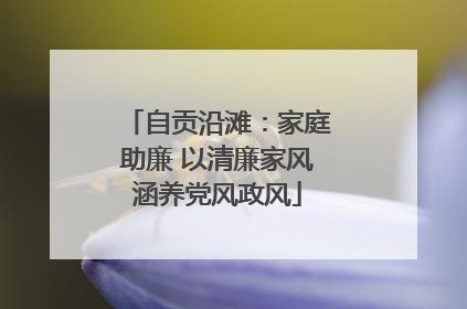 自贡沿滩：家庭助廉 以清廉家风涵养党风政风