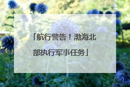 航行警告！渤海北部执行军事任务