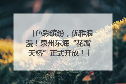 色彩缤纷，优雅浪漫！泉州东海“花瓣天桥”正式开放！