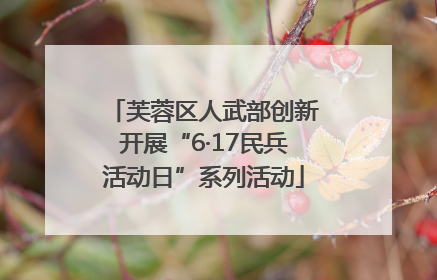 芙蓉区人武部创新开展“6·17民兵活动日”系列活动