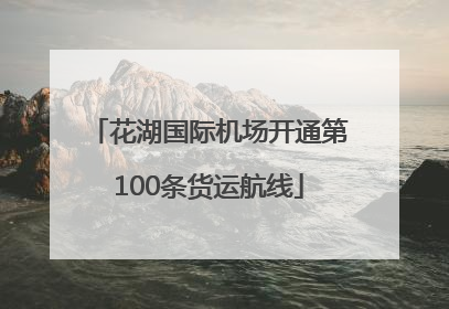 花湖国际机场开通第100条货运航线