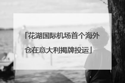 花湖国际机场首个海外仓在意大利揭牌投运