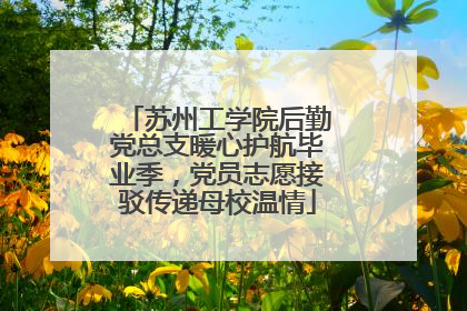 苏州工学院后勤党总支暖心护航毕业季，党员志愿接驳传递母校温情