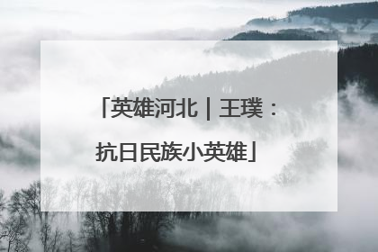 英雄河北｜王璞：抗日民族小英雄
