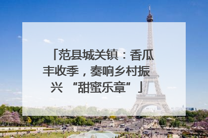 范县城关镇：香瓜丰收季，奏响乡村振兴 “甜蜜乐章”
