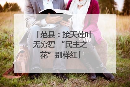 范县：接天莲叶无穷碧 “民主之花”别样红