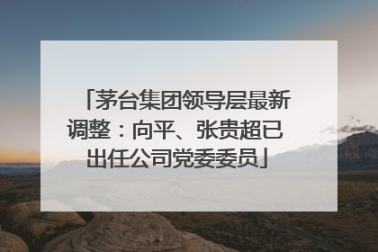 茅台集团领导层最新调整：向平、张贵超已出任公司党委委员
