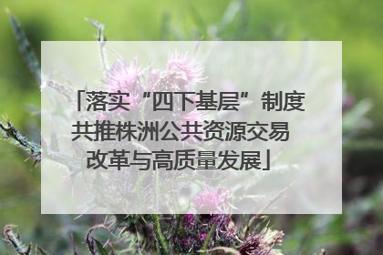 落实“四下基层”制度 共推株洲公共资源交易改革与高质量发展