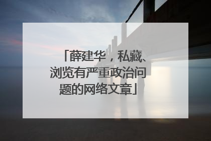薛建华，私藏、浏览有严重政治问题的网络文章