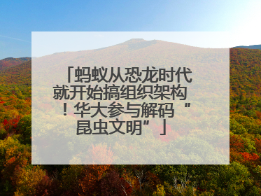 蚂蚁从恐龙时代就开始搞组织架构！华大参与解码“昆虫文明”
