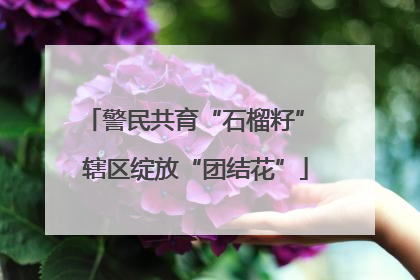 警民共育“石榴籽” 辖区绽放“团结花”