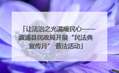 让法治之光温暖民心——溆浦县民政局开展“民法典宣传月” 普法活动