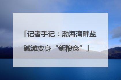 记者手记：渤海湾畔盐碱滩变身“新粮仓”