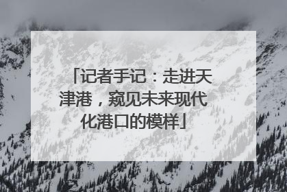 记者手记：走进天津港，窥见未来现代化港口的模样