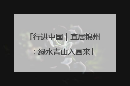 行进中国｜宜居锦州：绿水青山入画来
