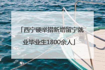 西宁硬举措新增留宁就业毕业生1800余人