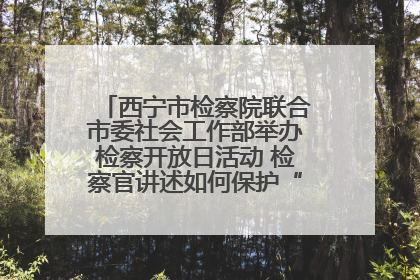 西宁市检察院联合市委社会工作部举办检察开放日活动 检察官讲述如何保护“少年的你”
