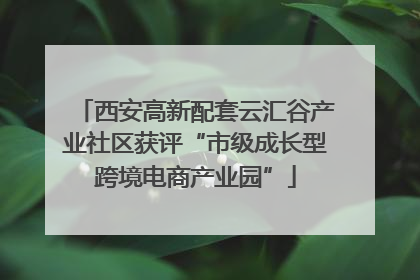 西安高新配套云汇谷产业社区获评“市级成长型跨境电商产业园”