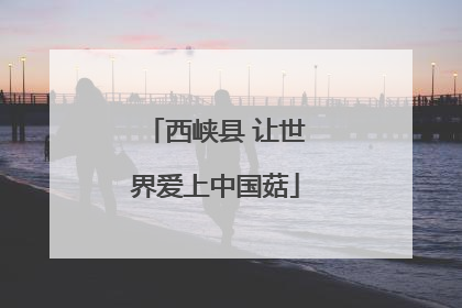 西峡县 让世界爱上中国菇
