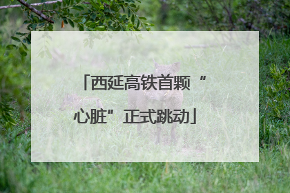 西延高铁首颗“心脏”正式跳动