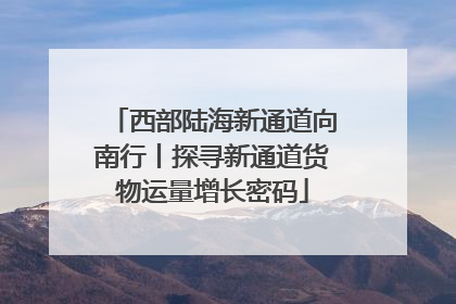 西部陆海新通道向南行丨探寻新通道货物运量增长密码