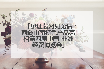见证藏湘兄弟情：西藏山南特色产品亮相第四届中国-非洲经贸博览会