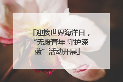 迎接世界海洋日，“无废青年 守护深蓝”活动开展
