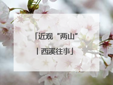 近观“两山”丨西溪往事