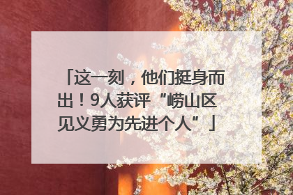 这一刻，他们挺身而出！9人获评“崂山区见义勇为先进个人”