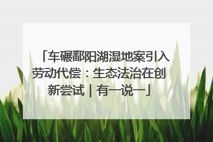 车碾鄱阳湖湿地案引入劳动代偿：生态法治在创新尝试｜有一说一