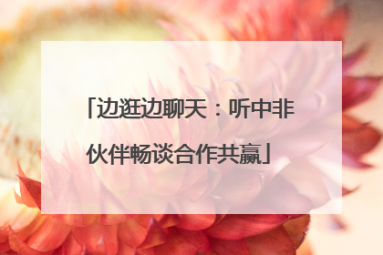 边逛边聊天：听中非伙伴畅谈合作共赢
