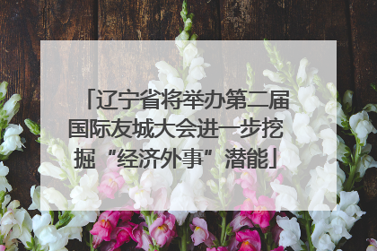 辽宁省将举办第二届国际友城大会进一步挖掘“经济外事”潜能