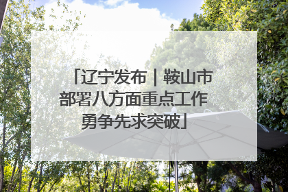 辽宁发布｜鞍山市部署八方面重点工作勇争先求突破