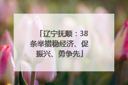 辽宁抚顺：38条举措稳经济、促振兴、勇争先