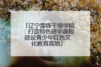 辽宁雷锋干部学院：打造特色研学课程 建设青少年红色文化教育高地
