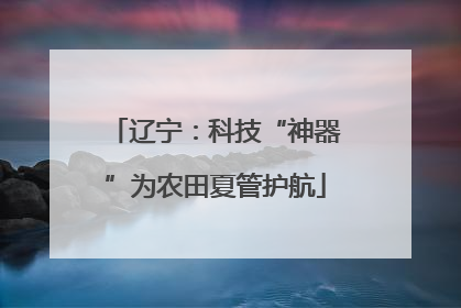辽宁：科技“神器”为农田夏管护航