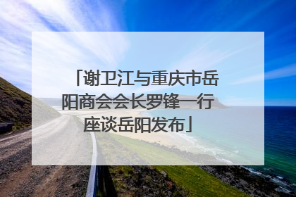 谢卫江与重庆市岳阳商会会长罗锋一行座谈岳阳发布