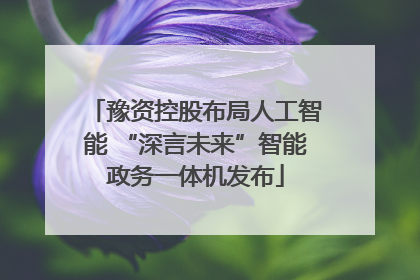 豫资控股布局人工智能 “深言未来”智能政务一体机发布