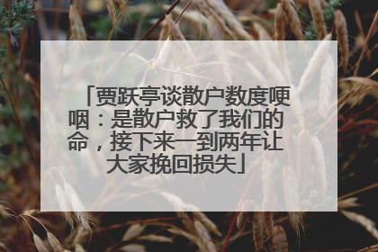 贾跃亭谈散户数度哽咽：是散户救了我们的命，接下来一到两年让大家挽回损失