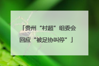 贵州“村超”组委会回应“被足协叫停”